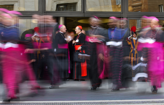 The synod has so far seen a whirlwind of ideas on theology and pastoral realities