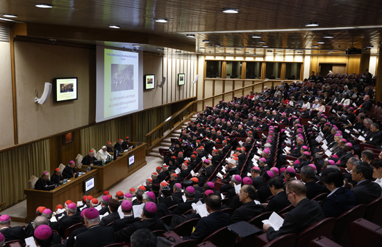 Synod on the Family 2014