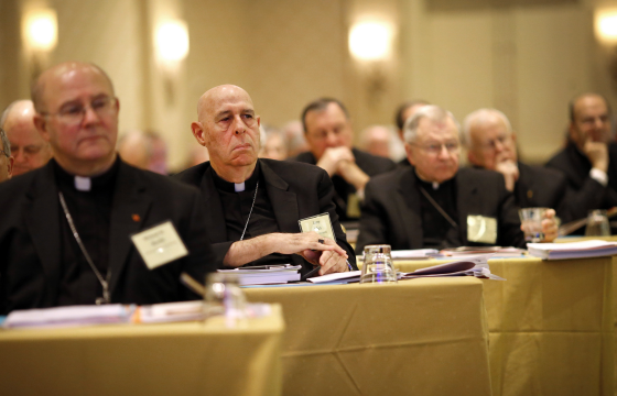 Voting at the US bishops conference in Baltimore this week has not gone entirely the way of the pro-Francis camp