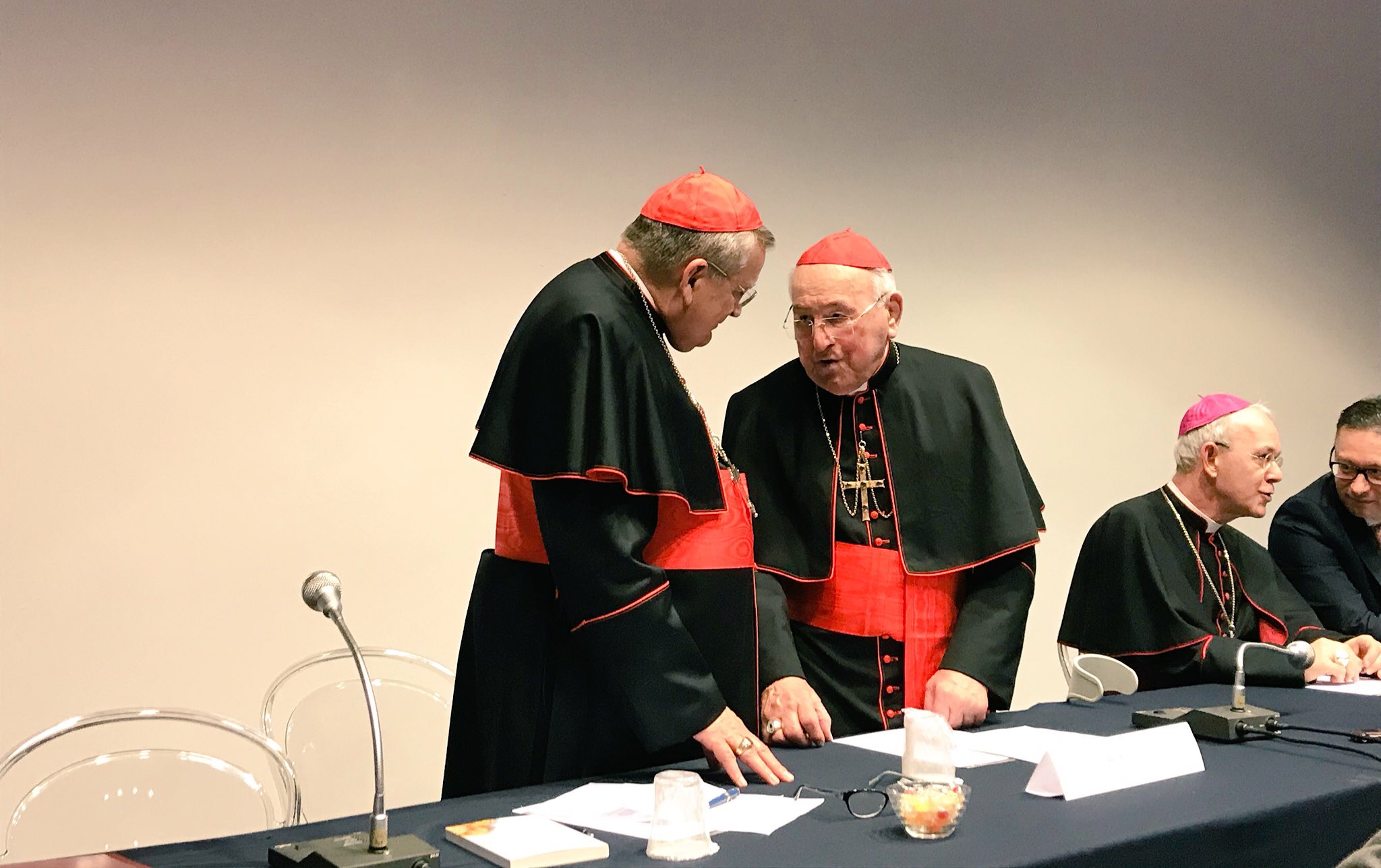 Image result for Photo of Conference of Friends of Cardinal Caffarra