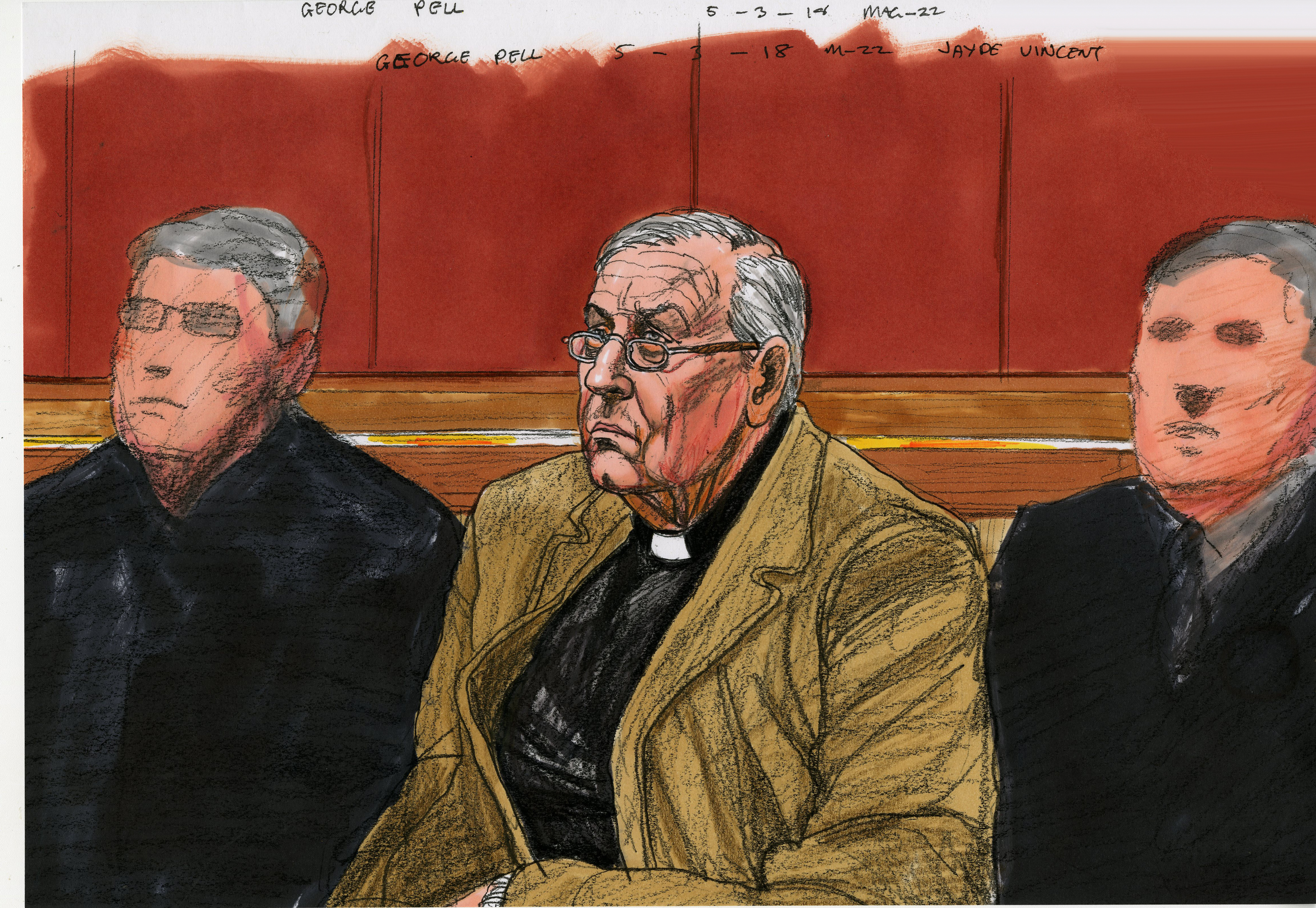 Pell victim of 'presumption of guilt' court told