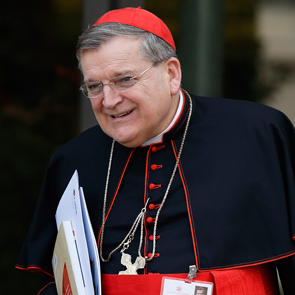 The “dubia” facing Cardinal Burke over Order of Malta saga