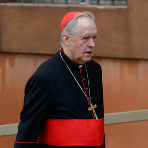 Cardinal says bishops unfit to lead German Church against secularism