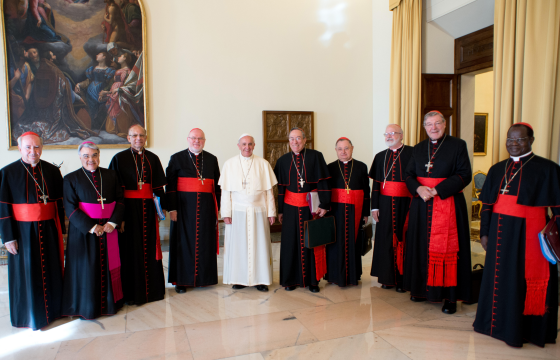 Council of cardinals gives Pope Francis vote of confidence