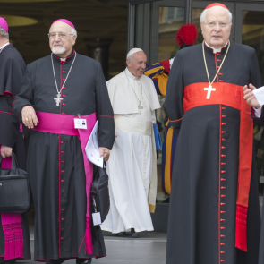 Pope: divorced and remarrieds not the only question for synod