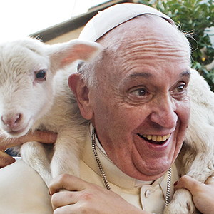Pope at 80: A shepherd clearly steering the flock