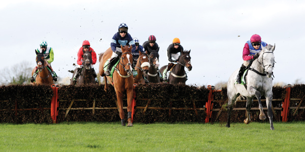 Winner takes all: behind the excitement of National Hunt Racing is greed and tradition