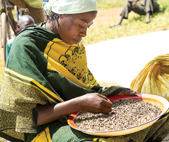 Fair trade is still a rich harvest