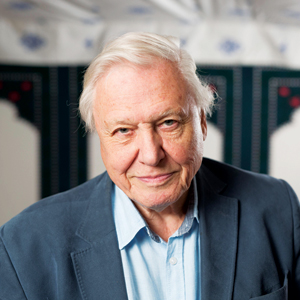 A sea of possibilities: fishing for meaning in Attenborough’s ocean