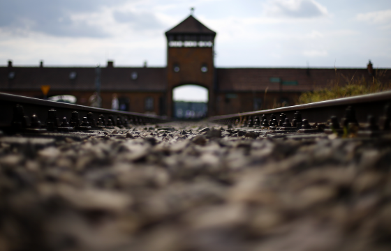 Fascism was so utterly grotesque that surely it was impossible to stop atrocities like Auschwitz without violence?