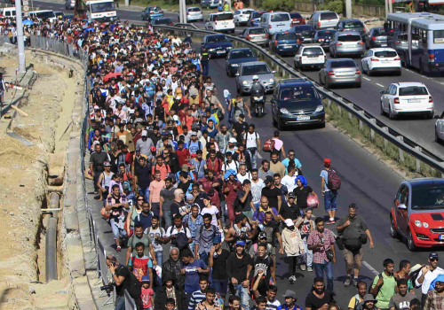 migrants walk in hungary