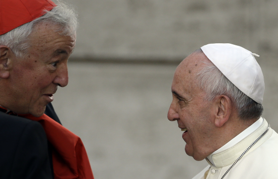 Pope Francis, the cardinal explained, wants the synod not to see the family as a problem