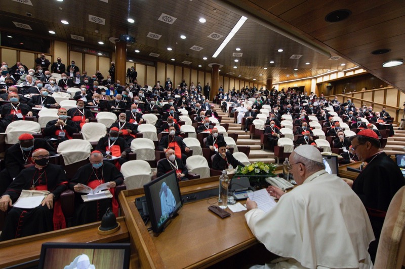 What does synod have in common with the Cat in the Hat?