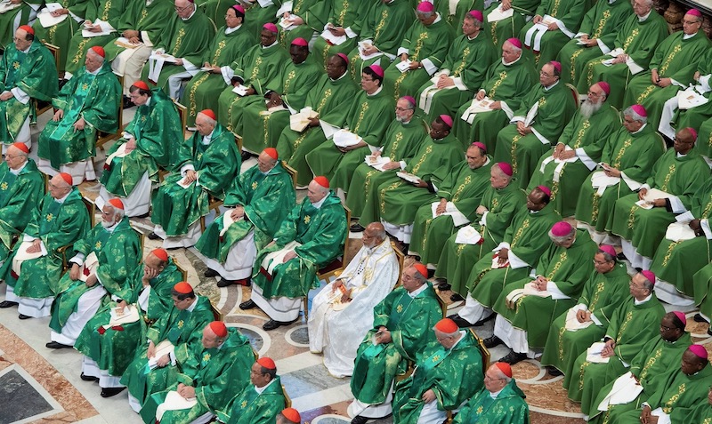 Some of the people of God are already on the path to synodality. Will the bishops join them there?