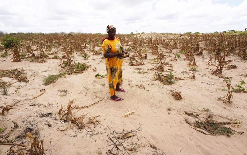  Drought and hunger – the humanitarian crisis that is unfolding and how you can help