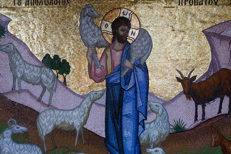 Jesus the 'good shepherd' is genuinely solicitous for all his flock