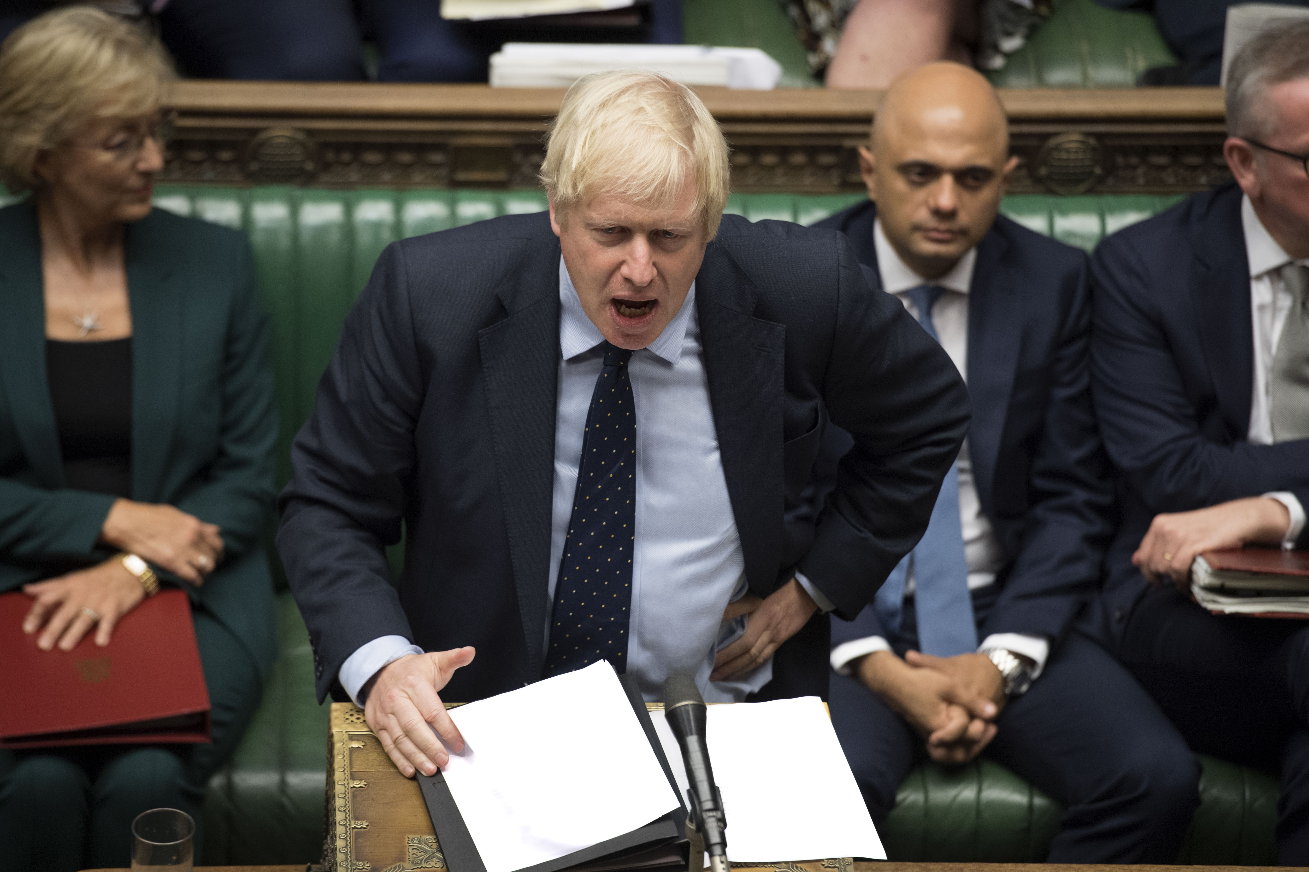 Is Boris leading the British public up the garden path? 