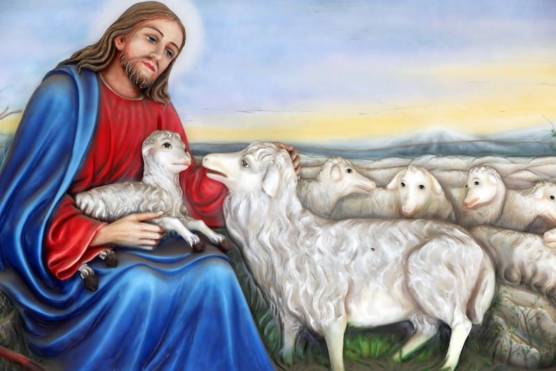 Jesus the good shepherd and why he will never let us go
