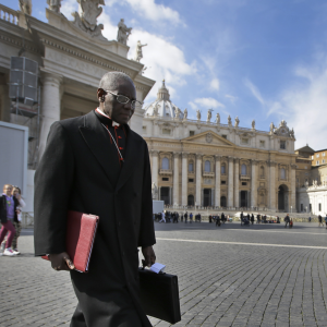 Cardinal Sarah's very public slap-down shows Pope is willing to use his authority 
