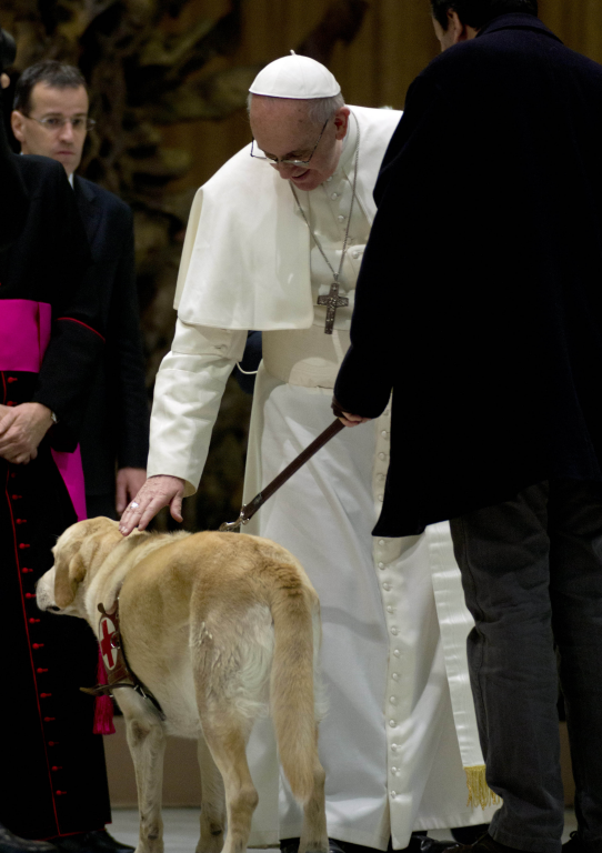 Dogs go to heaven?