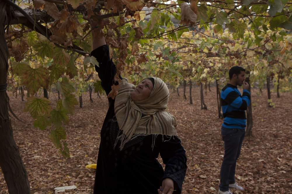 Ne’ama Al-Ser, a Palestinian mother of 11 