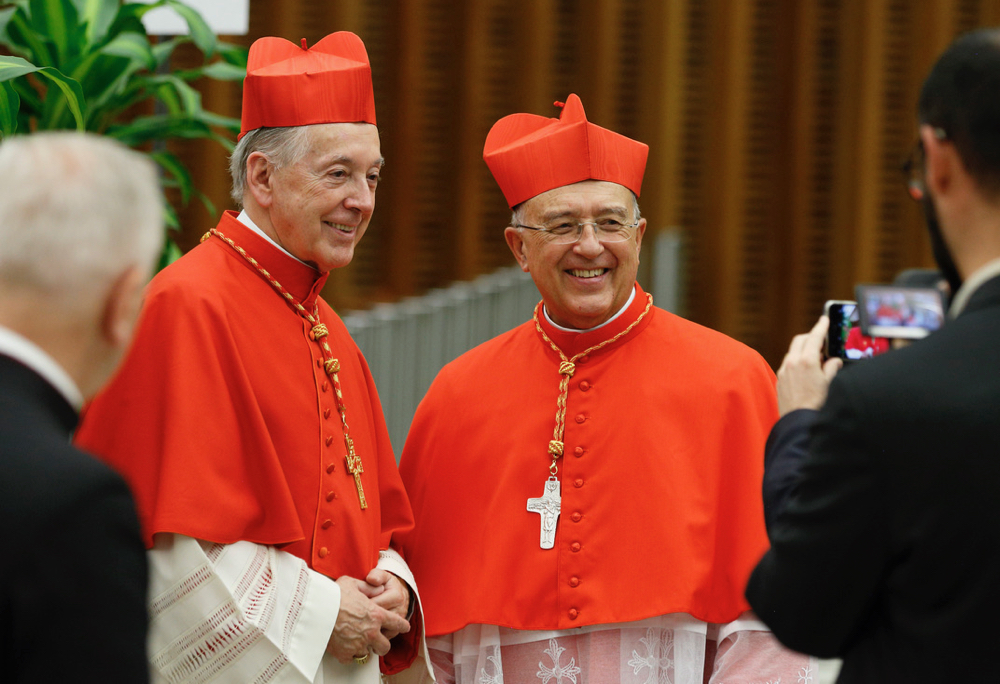 Cardinal hits back at critics of Pan-Amazon Synod 