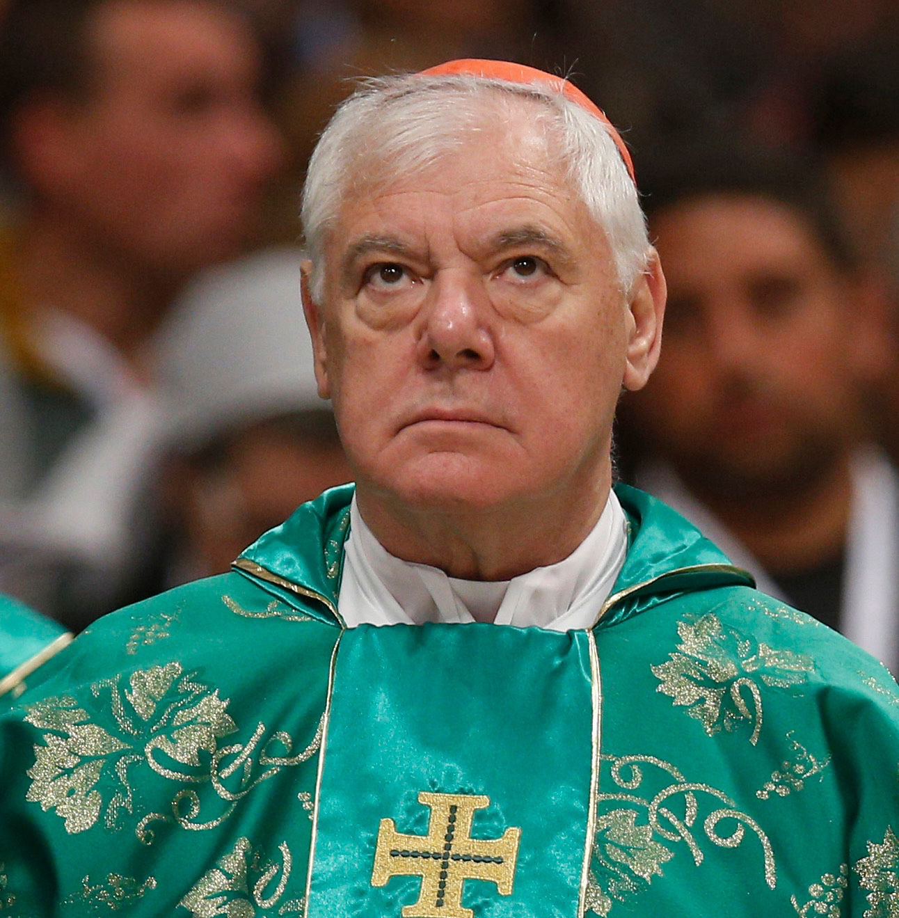 Cardinal: No one has right to demand a pope's resignation