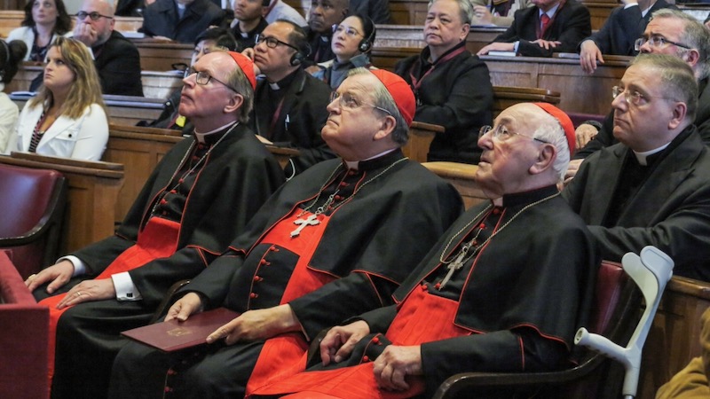Cardinal urges Flemish bishops to withdraw same-sex support 
