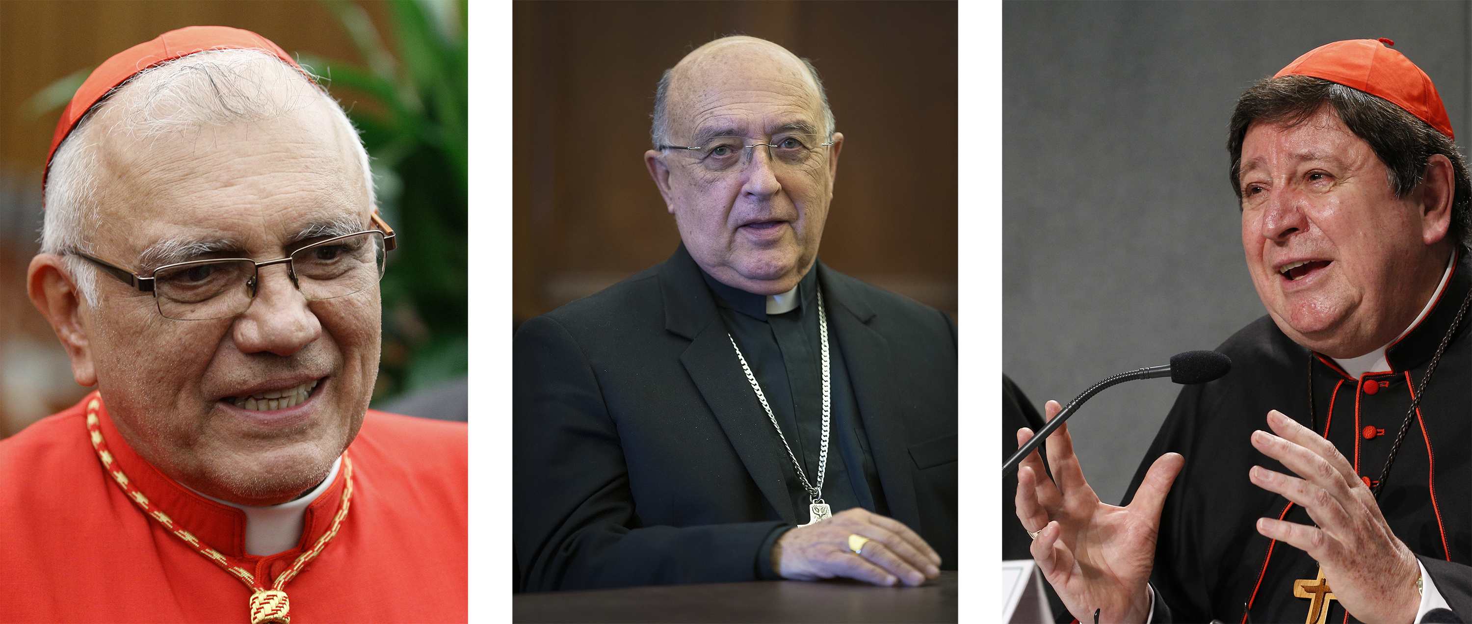 Pope appoints three cardinals to help lead synod on Amazon