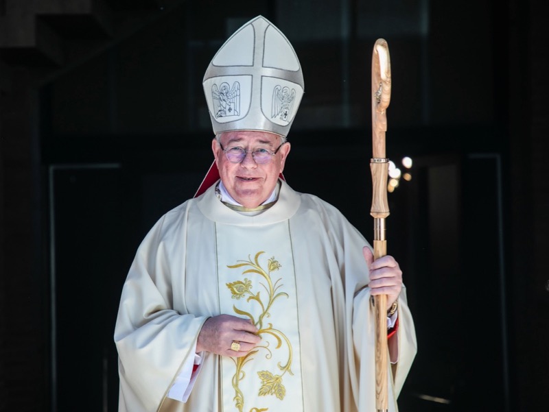 Comece cardinal backs Covid passports at churches