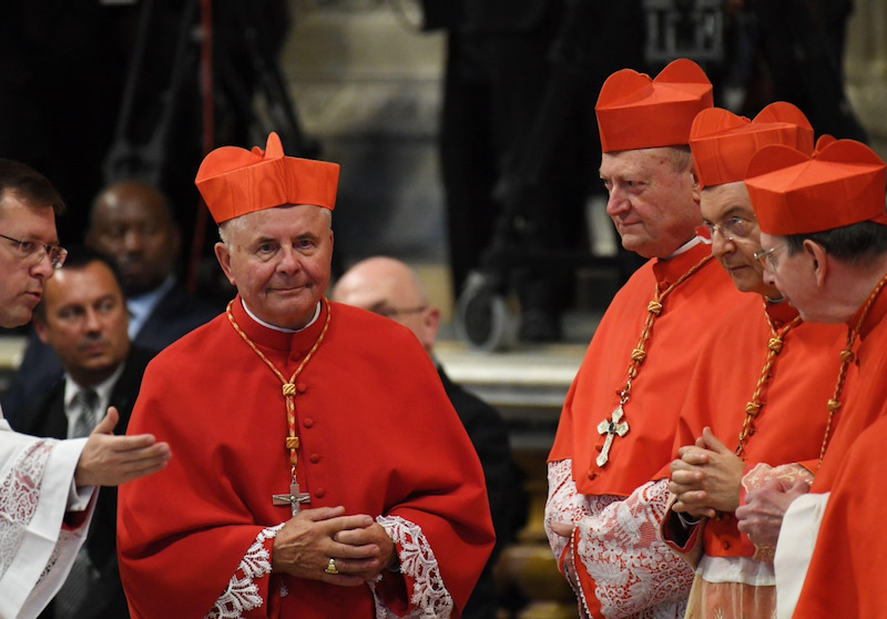 Cardinal highlights 'crisis of humanity'