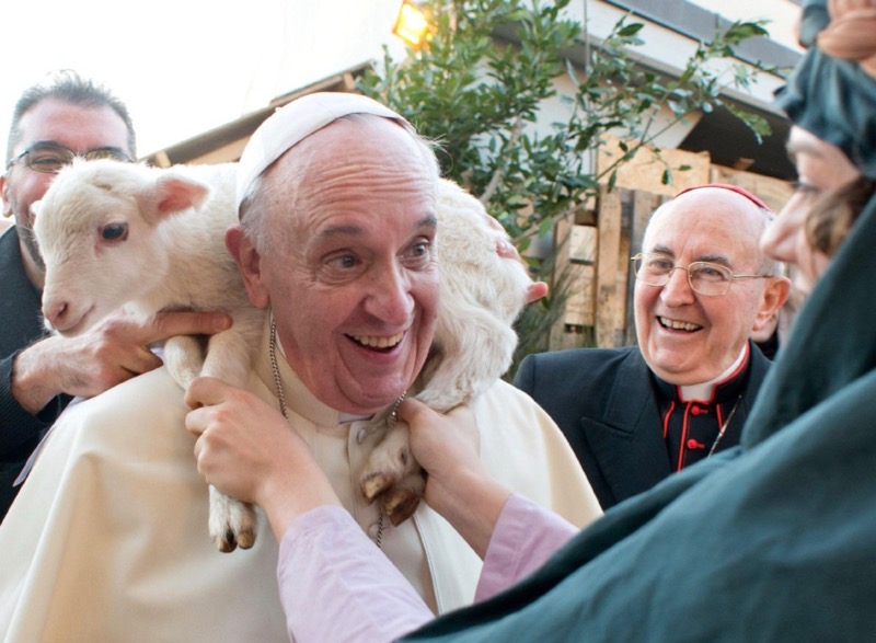 Childless society gone to the dogs, warns Pope