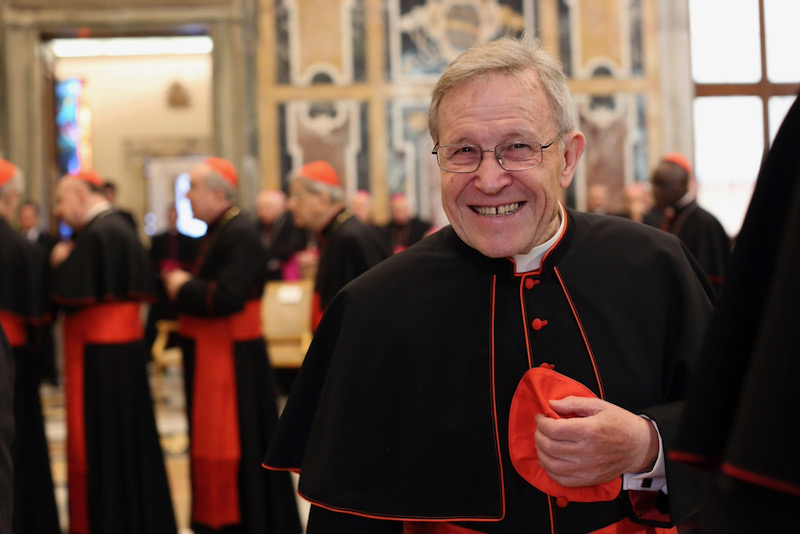 Synodal way has 'birth defect' says top cardinal
