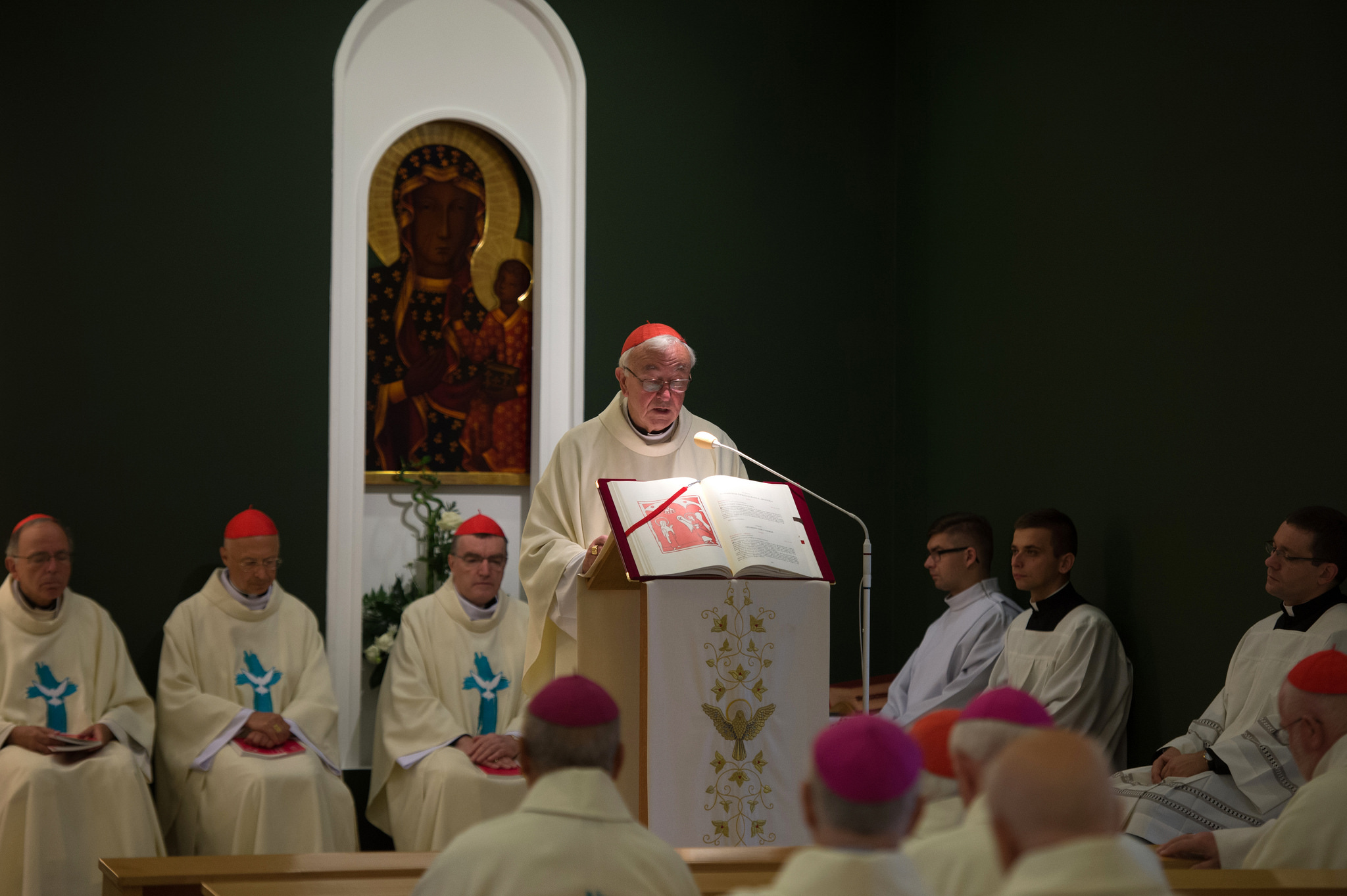 Cardinal acknowledges 'the wolves in our midst'