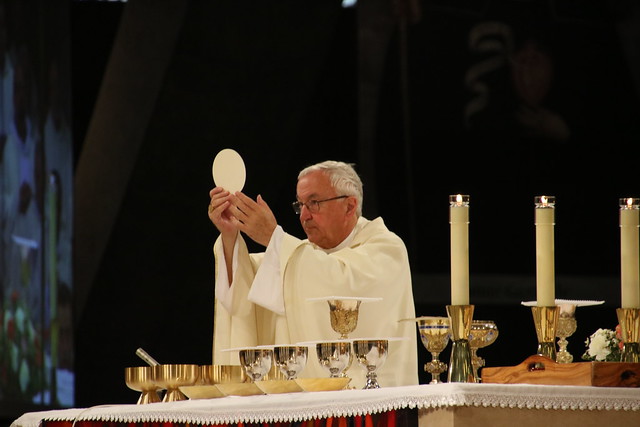 Cardinal Nichols highlights 'far-reaching' persecution of Christians at Lourdes Mass 