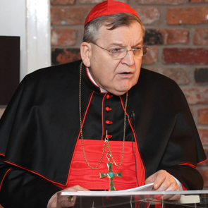Burke condemns pro-reform voices at Synod on the Family 