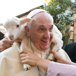 Pope Francis named PETA's person of the year for his message of kindness to animals