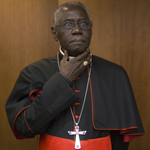 Cardinal Sarah blocked discussion of gays, says bishop 