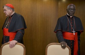 Pope overhauls Cardinal Sarah’s department