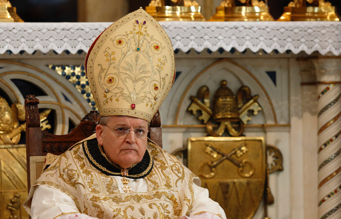 Dubia cardinals condemn 'plague' of gay agenda