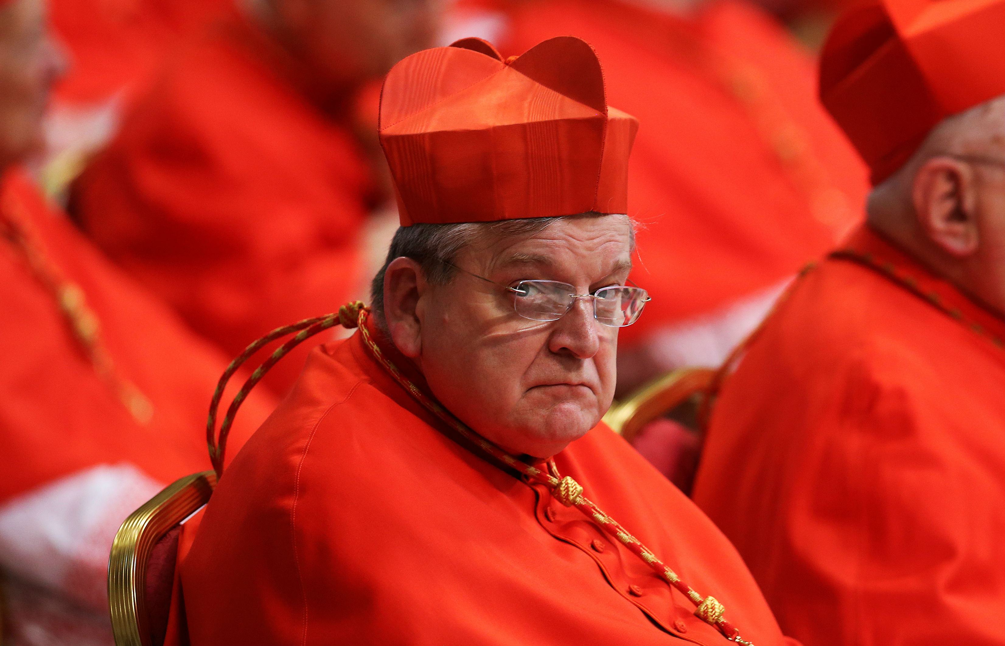 Relationship between pope and Cardinal a 'caricature' says Burke, but Catholics want clearer presentation of doctrine 