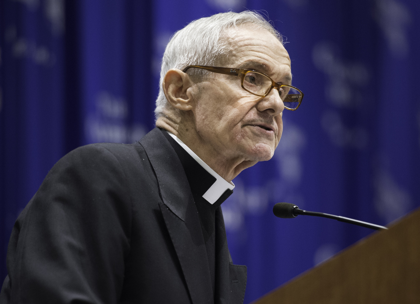 Violent extremists tarnish image of their own faith, cardinal says
