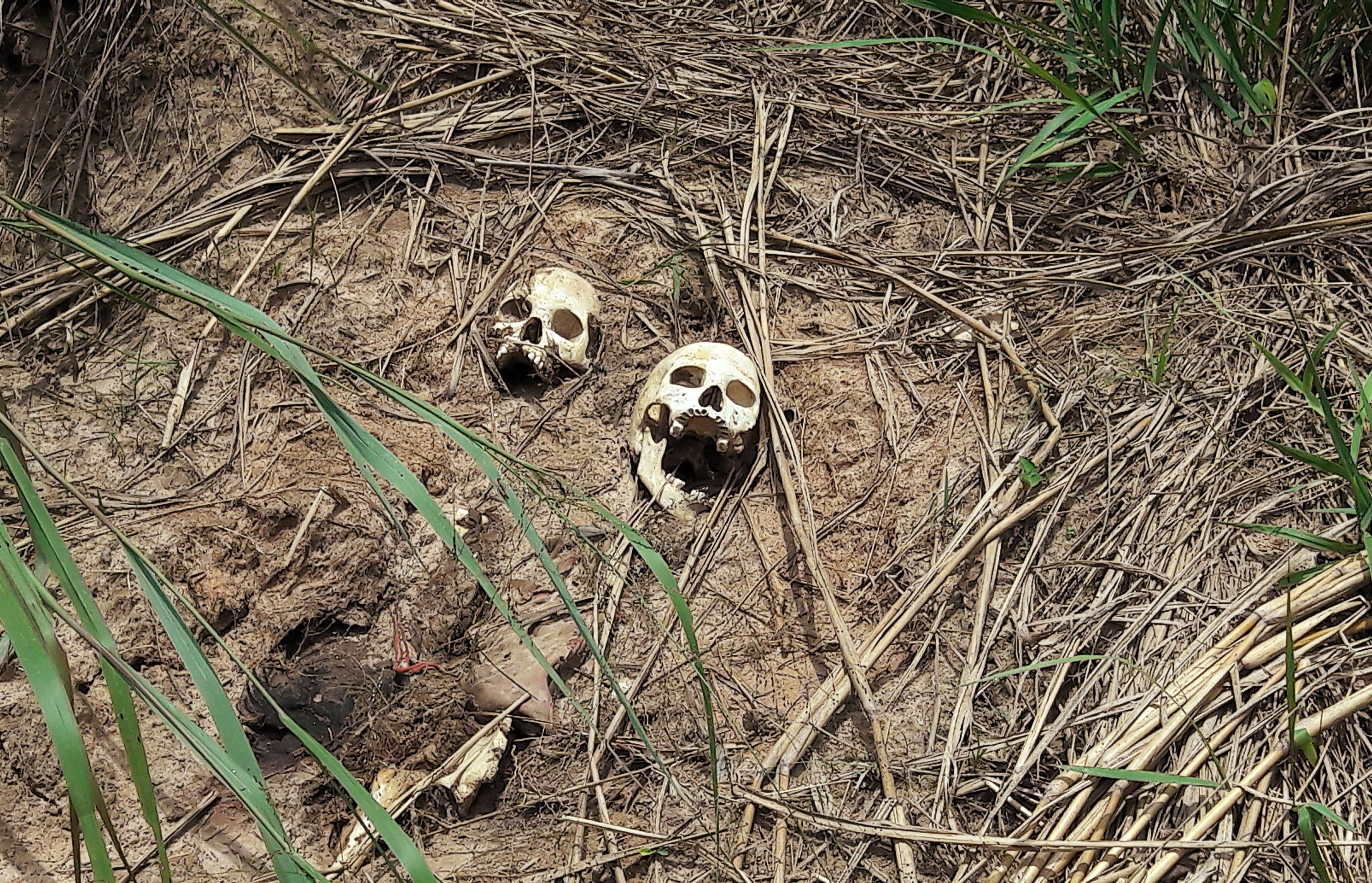 Bishop warns of 'permanent state of insecurity' in the Democratic Republic of the Congo as UN discovers 13 more mass graves 