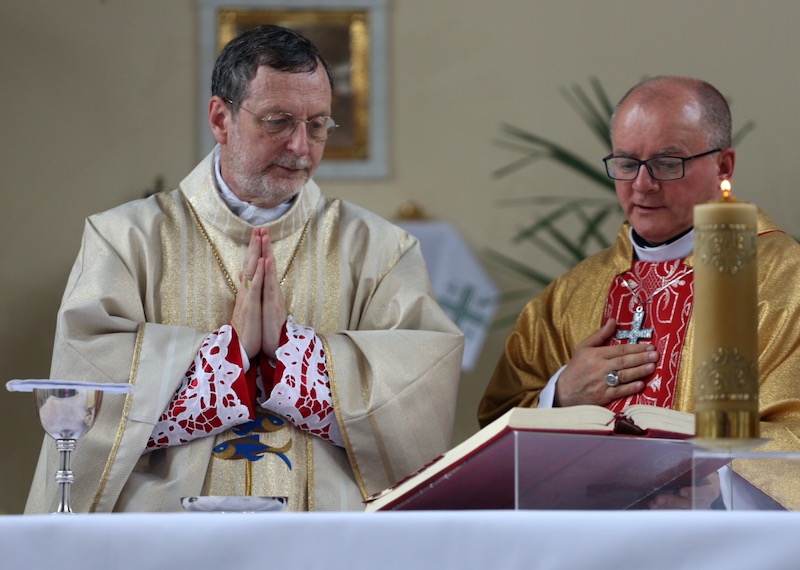 Patristics scholar appointed new papal ambassador