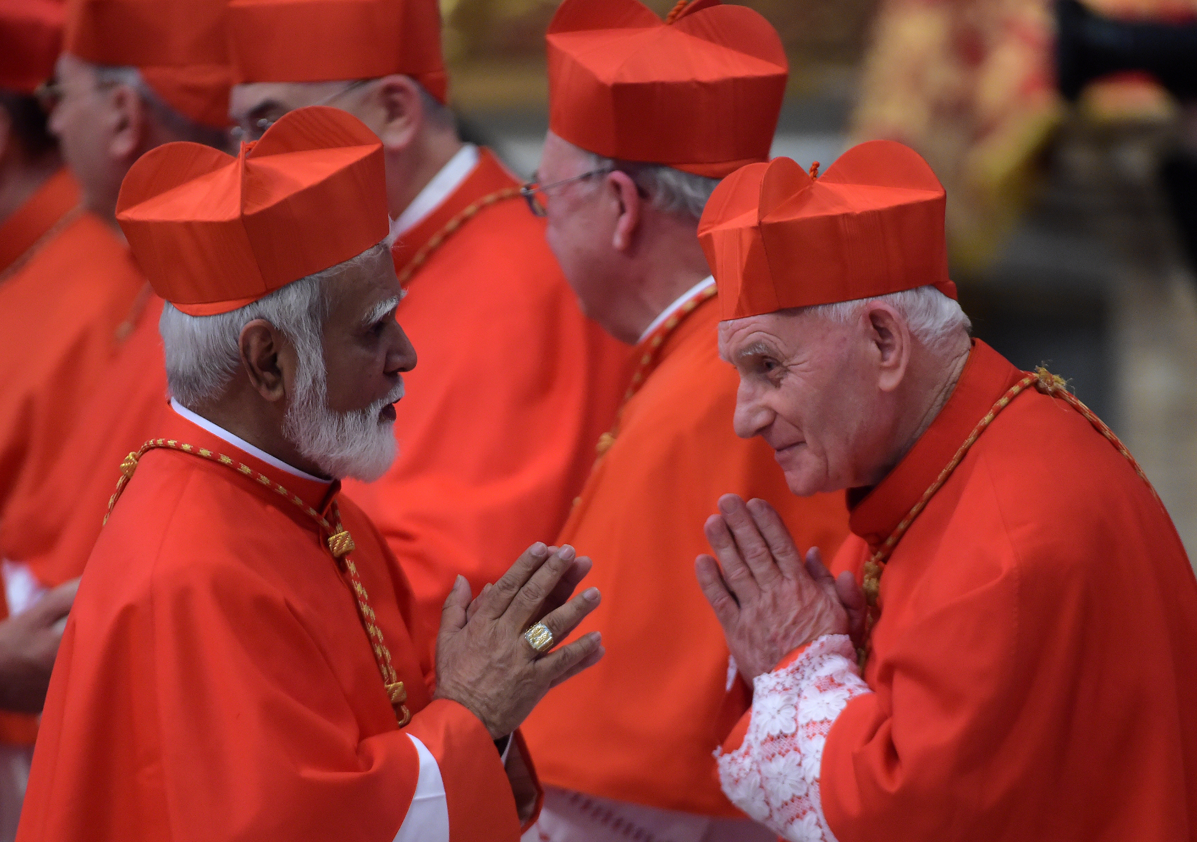Cardinal says synod document on youth is 'action plan' for churches 
