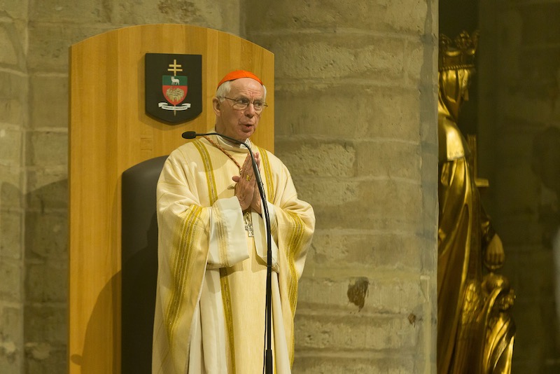 Belgian cardinal develops undisclosed illness