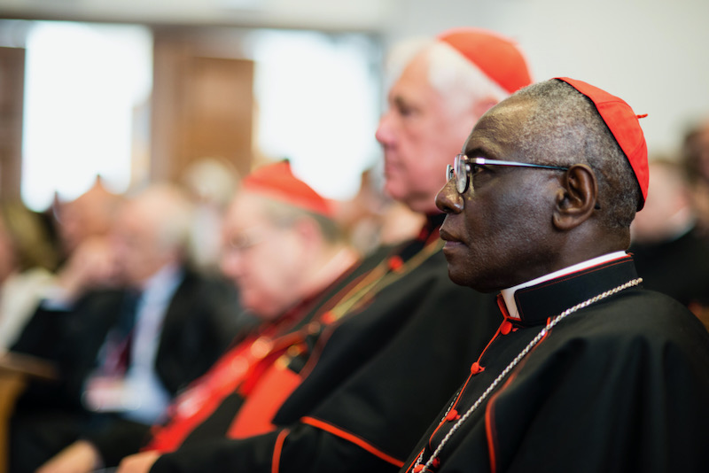 Liturgy visitation will help Pope pick Sarah successor