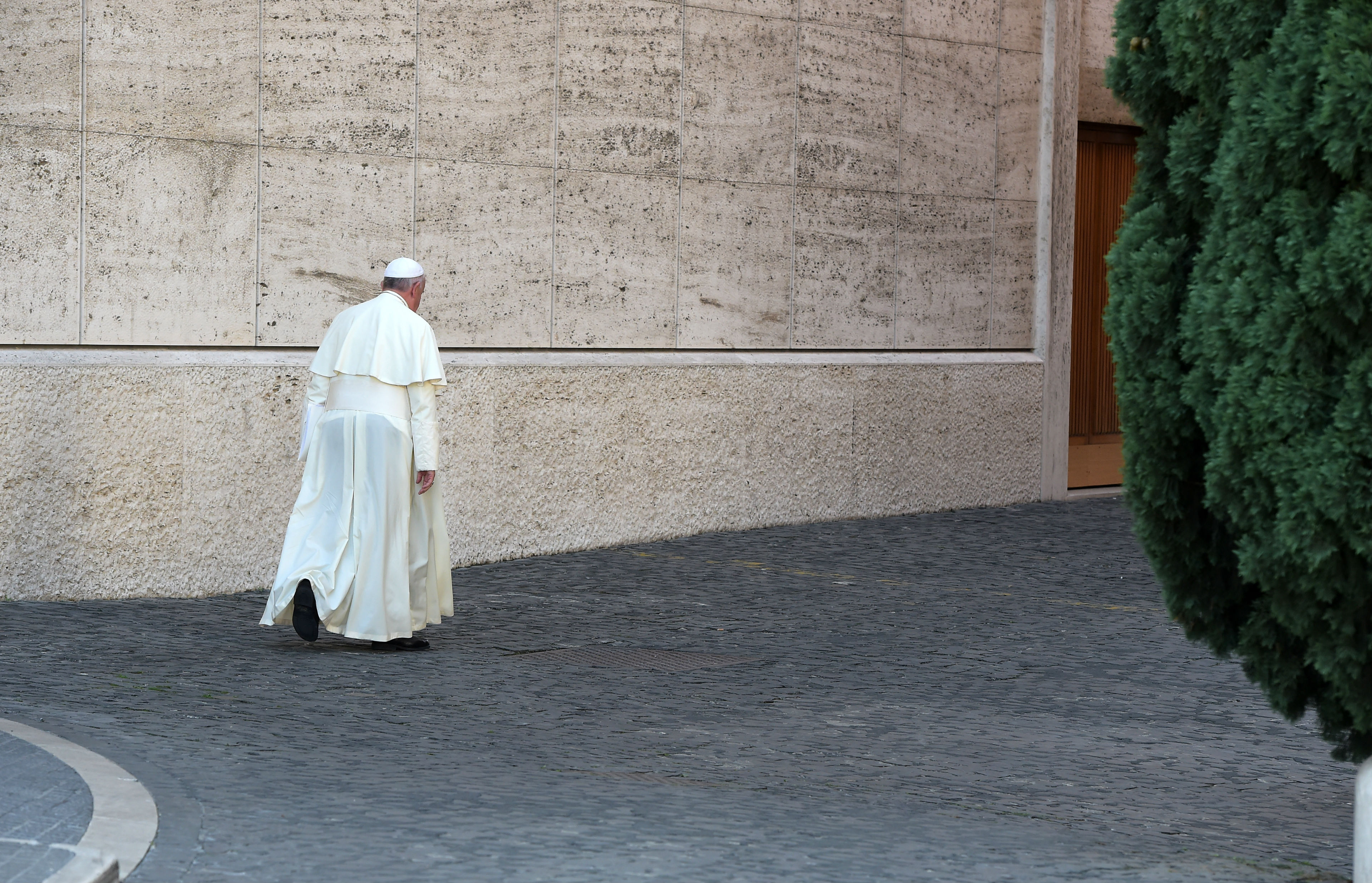 Leaked 'dubia' cardinal letter designed to put pressure on Pope Francis 