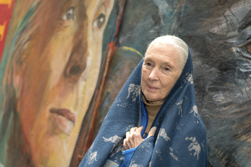 Jane Goodall wins Templeton Prize