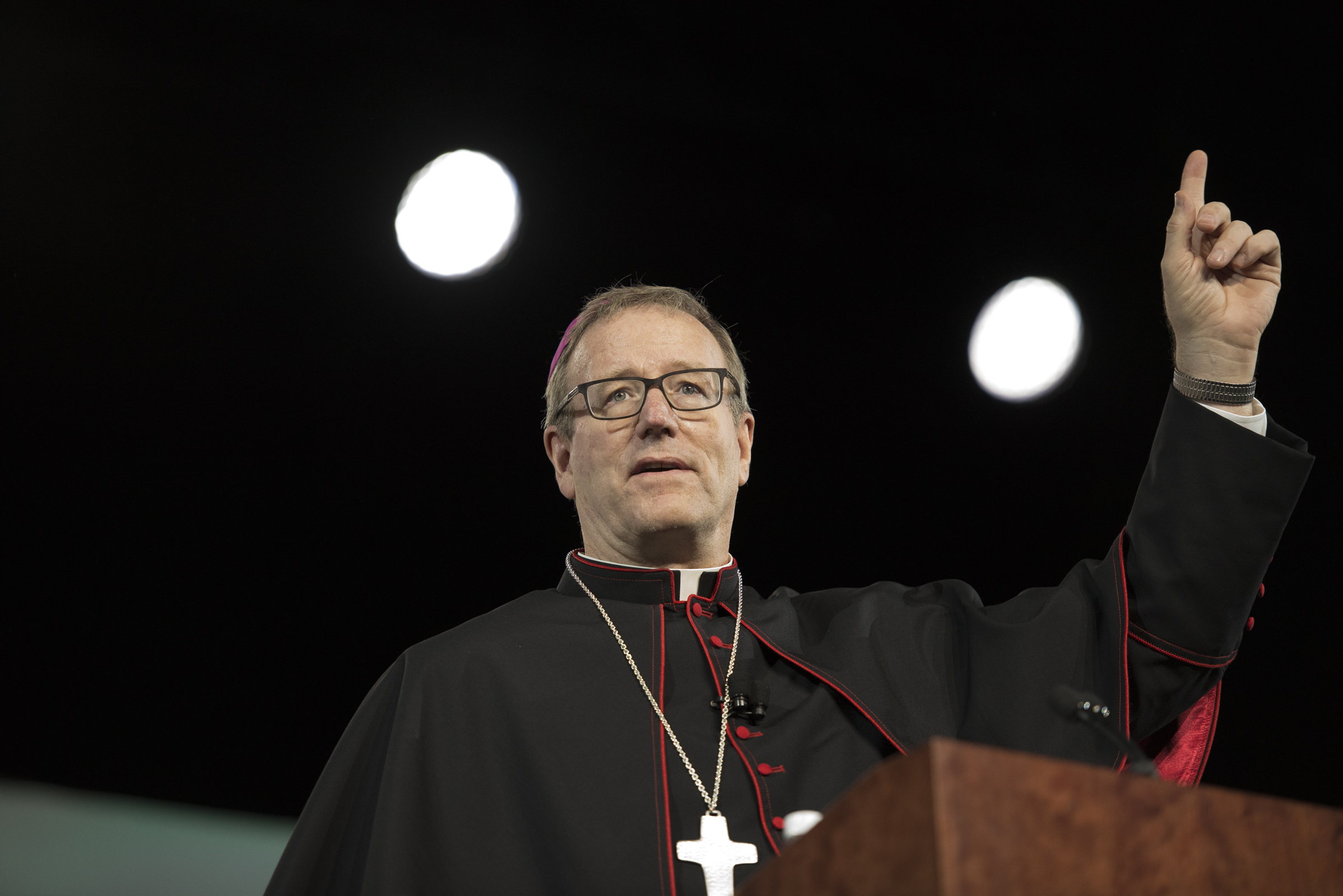'Demonic and diabolical': Bishop Barron on the sex abuse crisis